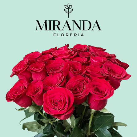 Florería Miranda San Valentín