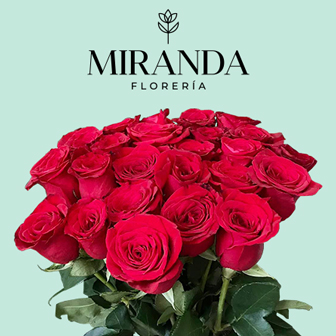 Florería Miranda San Valentín